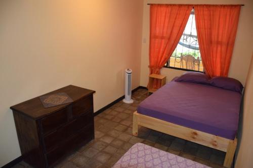 Pura Vida Mini Hostel - Tamarindo Costa Rica