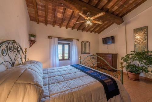 Hostal Lemon Tree Boutique Guest House