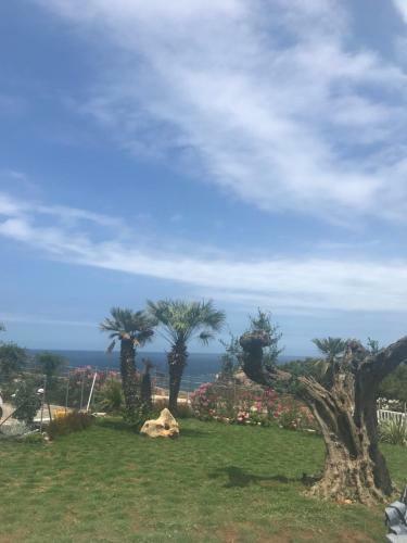 Apartamento Cocciu D?amuri