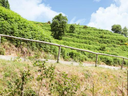 Vibrant Villa In Torre Di Ruggiero With Sauna