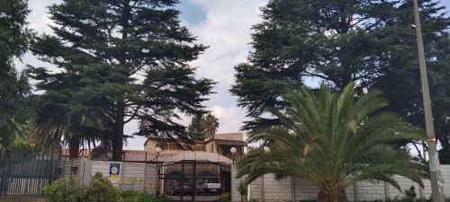 Hostal Diamond House Guesthouse And Retreat Centre