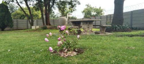 Hostal Diamond House Guesthouse And Retreat Centre