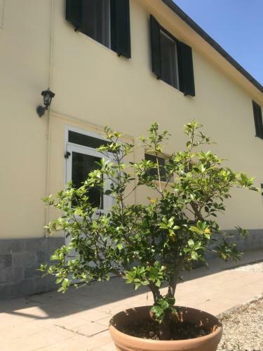Villa Regina