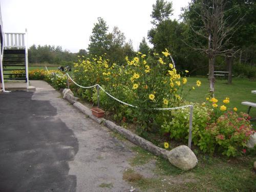Orangeville Motel
