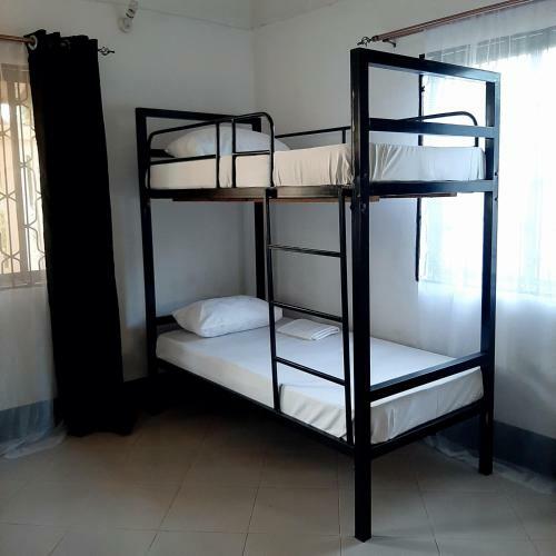 The Nest Haven Hostel