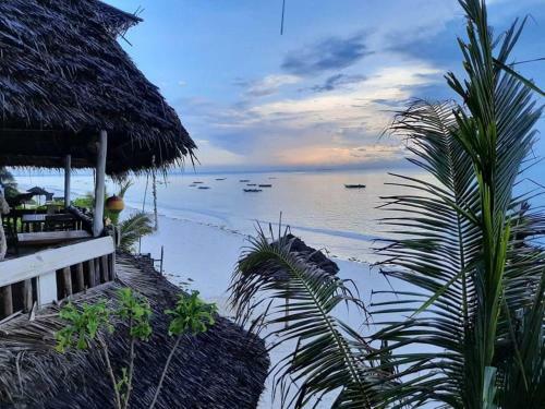 Sweet Beach Apartments