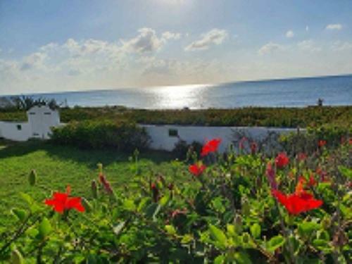 Hostal Maamoura Beach House