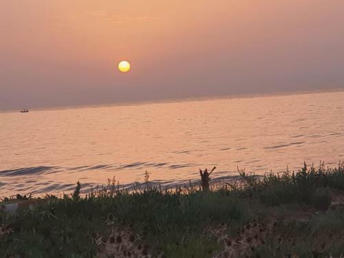 Hostal Maamoura Beach House