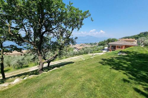 Matteo's House