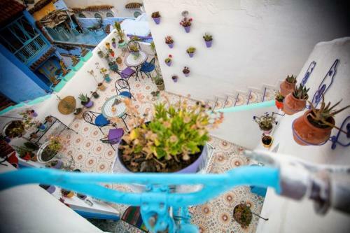Hostal Afra House