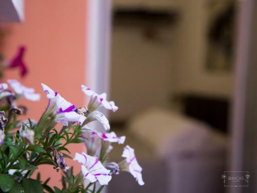 Hostal Bianca's Rooms
