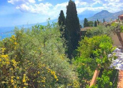 Margot�s House