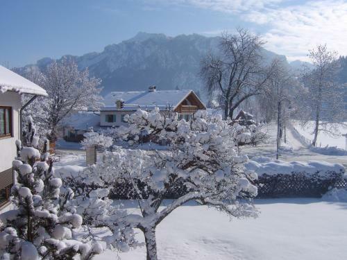 Hostal Hotel Kleiner K�nig