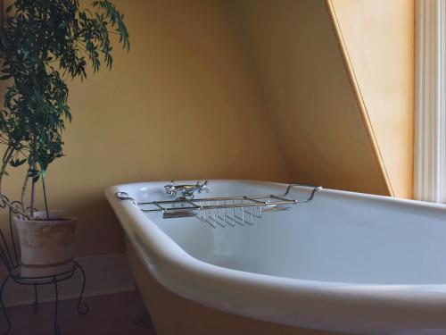 Bed & Breakfast At Wit's Inn
