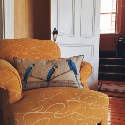 Bed & Breakfast At Wit's Inn