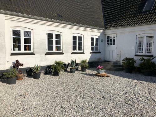 Bed & Breakfast Holmegaarden B & B-k