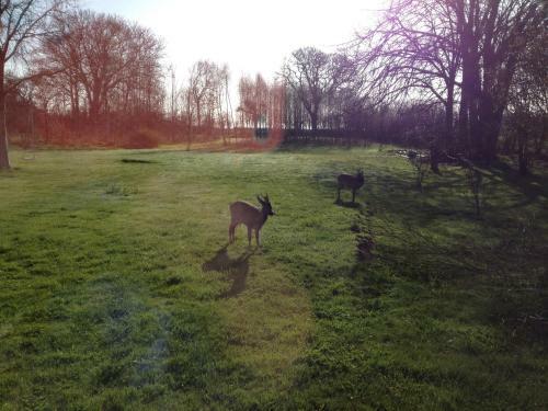 Bed & Breakfast Holmegaarden B & B-k