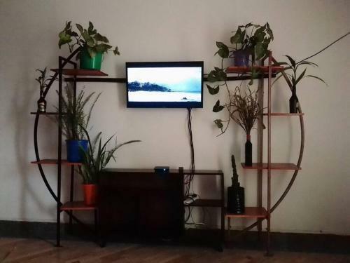 Lovie Apartment