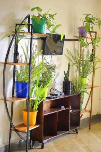 Lovie Apartment
