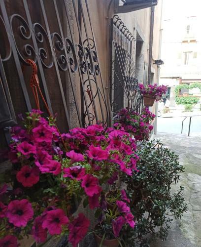 Apartamento Casa Tiziana
