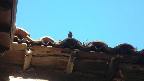 Hostal Molinos De Antero