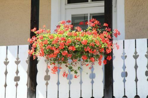 Hostal Gasthof Sollner Hof