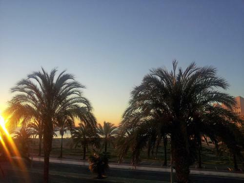 Apartment San Javier