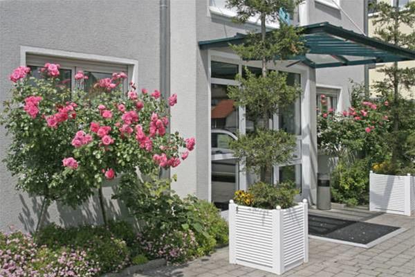 Hostal Hotel Alpha
