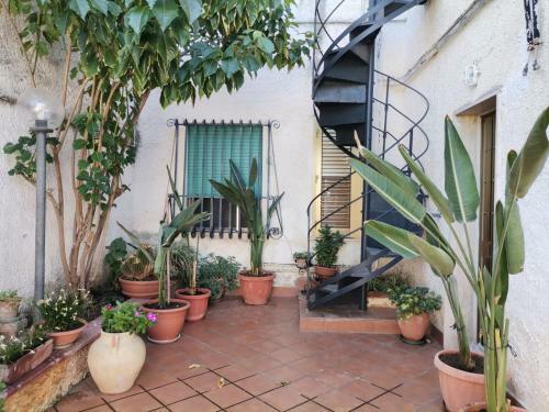Casa Paola