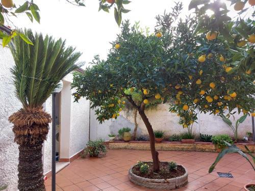 Casa Paola