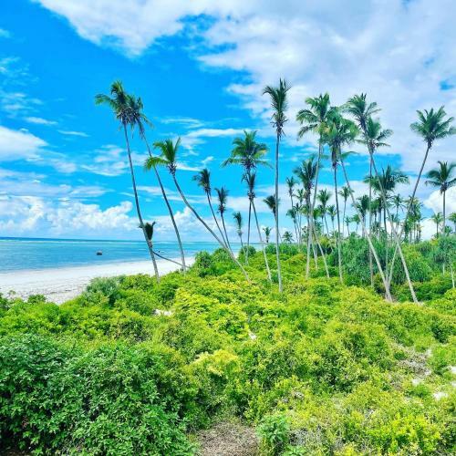 Hotel Mambo Beach Villas