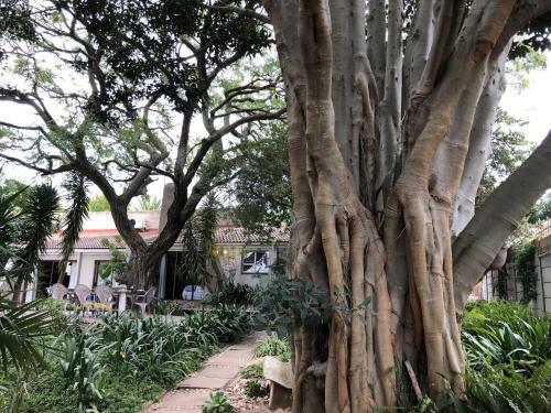 Hostal The Wild Fig