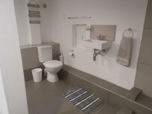 The Nest Basement Apartment