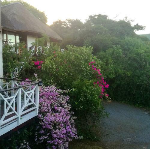 Eagle's Rest Cottage