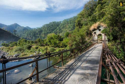 Livingstone Camping Site, Bhimtal