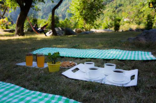 Livingstone Camping Site, Bhimtal