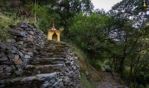 Livingstone Camping Site, Bhimtal