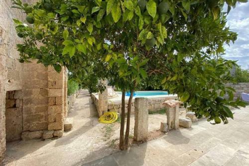 Villa Masseria Castelletto