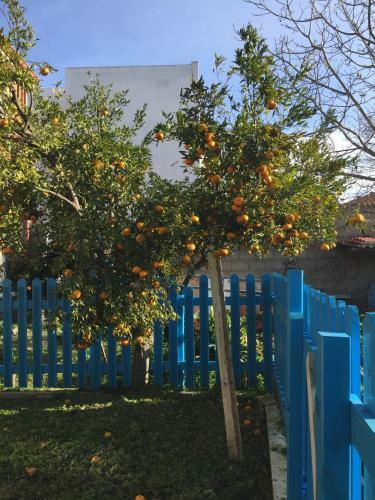 Apartamento Casa Ondina Con Giardino E Wi-fi Ussana
