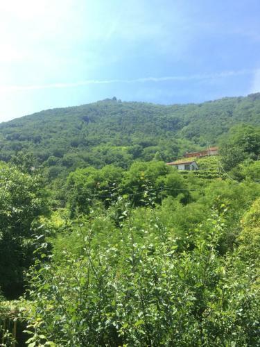 Apartamento Appartamento Lasar