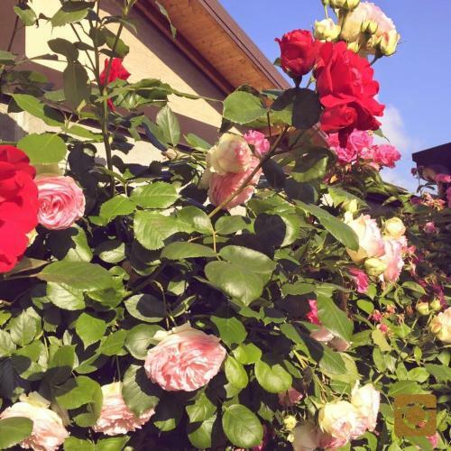 Bigatt Bed & Breakfast
