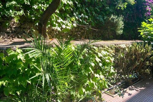 Apartamento House With Garden Baia Dei Saraceni