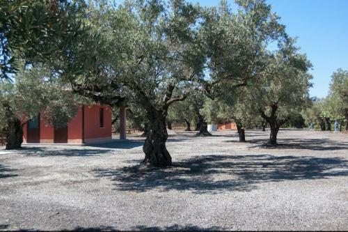 Agroturismo Feudo Delle Querce