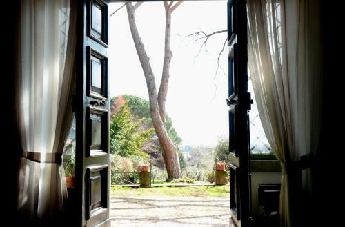 Vigna Dell'agrifoglio - Bed And Breakfast