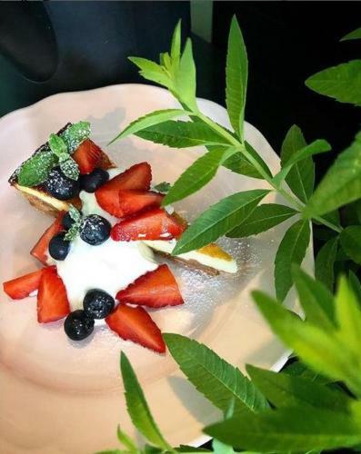 Bed & Breakfast Xenia, Vasto