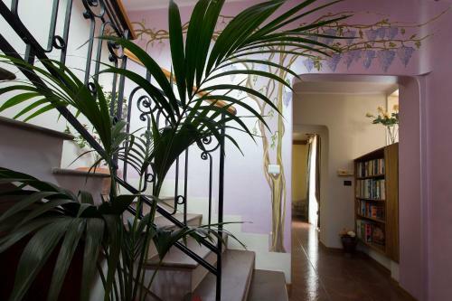 Bed & Breakfast Vibo In Centro