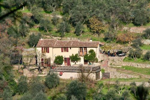 Apartamento Casa Rurale Selvadolivo