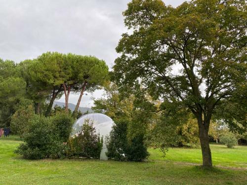 Bubble Room Under The Tuscan Stars Bubble