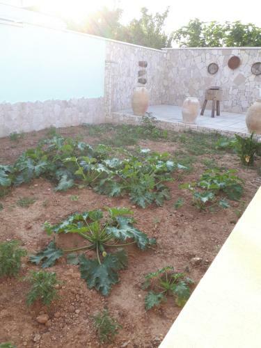 Hostal Oltremare