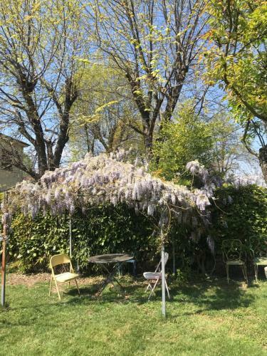 Apartamento Appartamento Per Single In Villa